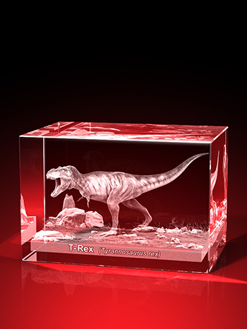 T-Rex - Quader – GLASFOTO.COM